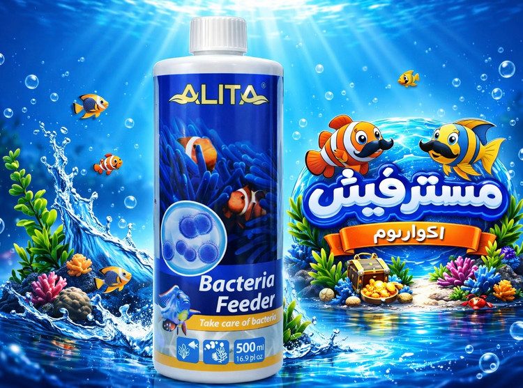 محلول فیدرباکتری آلیتاحجم500ml