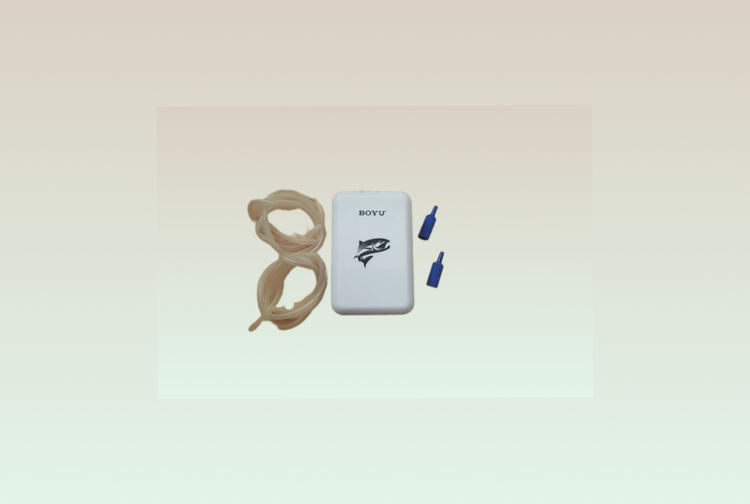 پمپ هوای شارژی دوخروجی D-600 BOYU به همراه دوسنگ هواودوعدد شلنگ یک متری