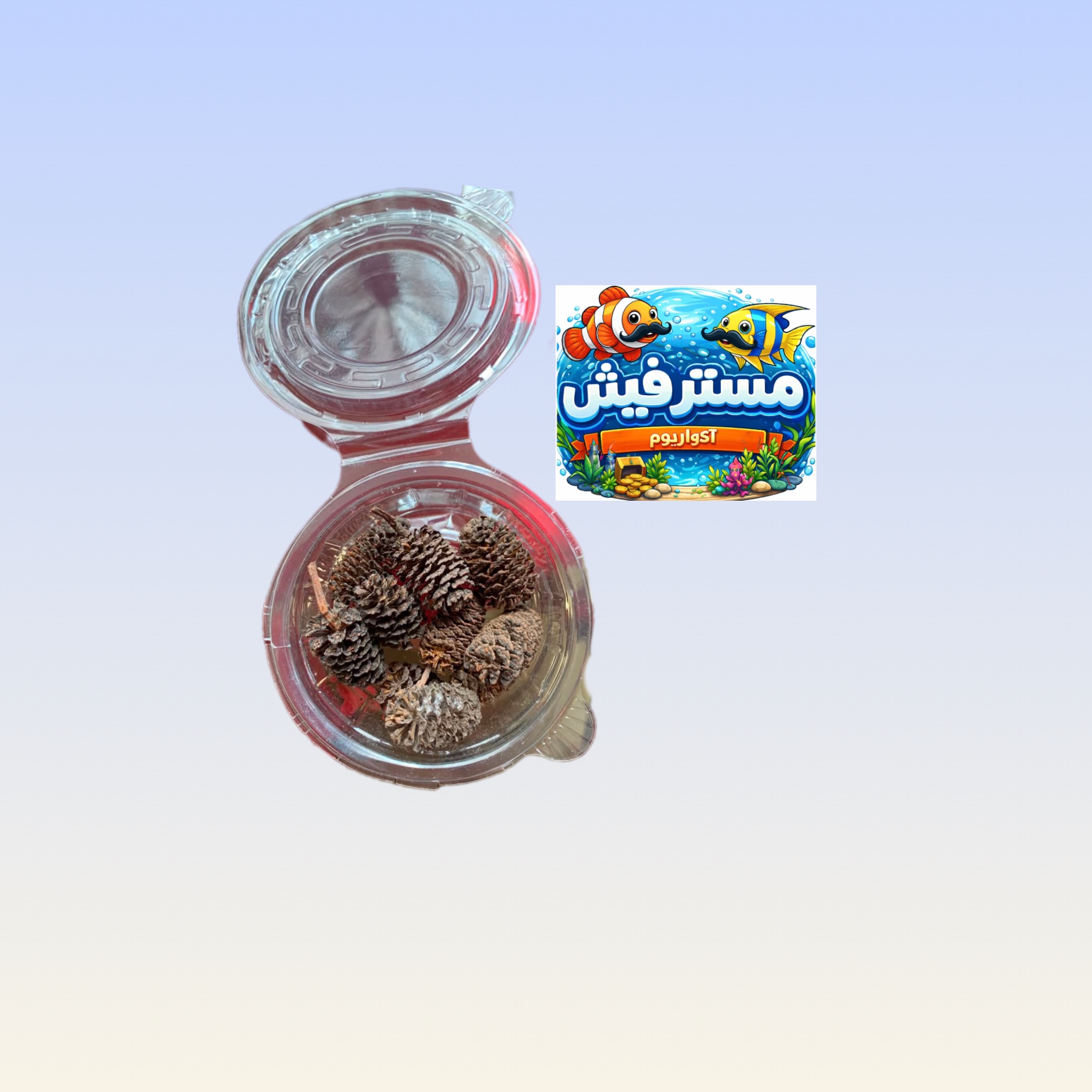 مخروط توسکا آکواریوم بسته(10عددی)